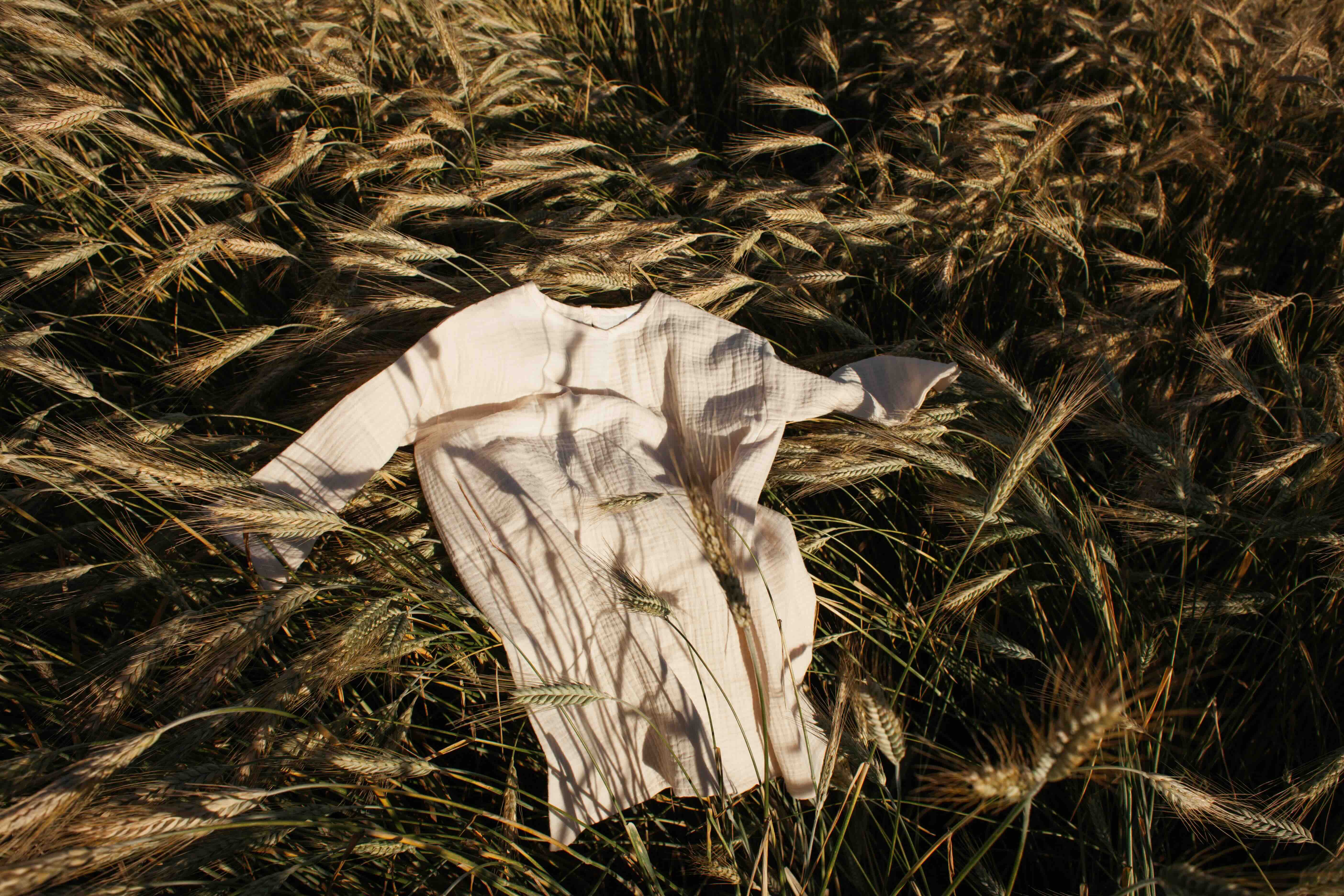 Searching for Organic Pads? A Calm Guide to Plant-Based Period Product Materials