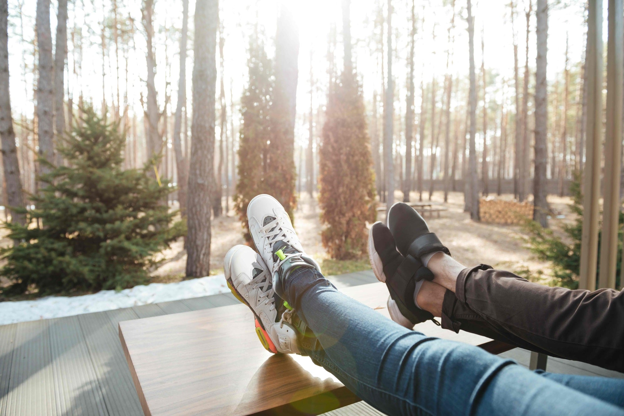 The Silent Signals: Hormones and Forests