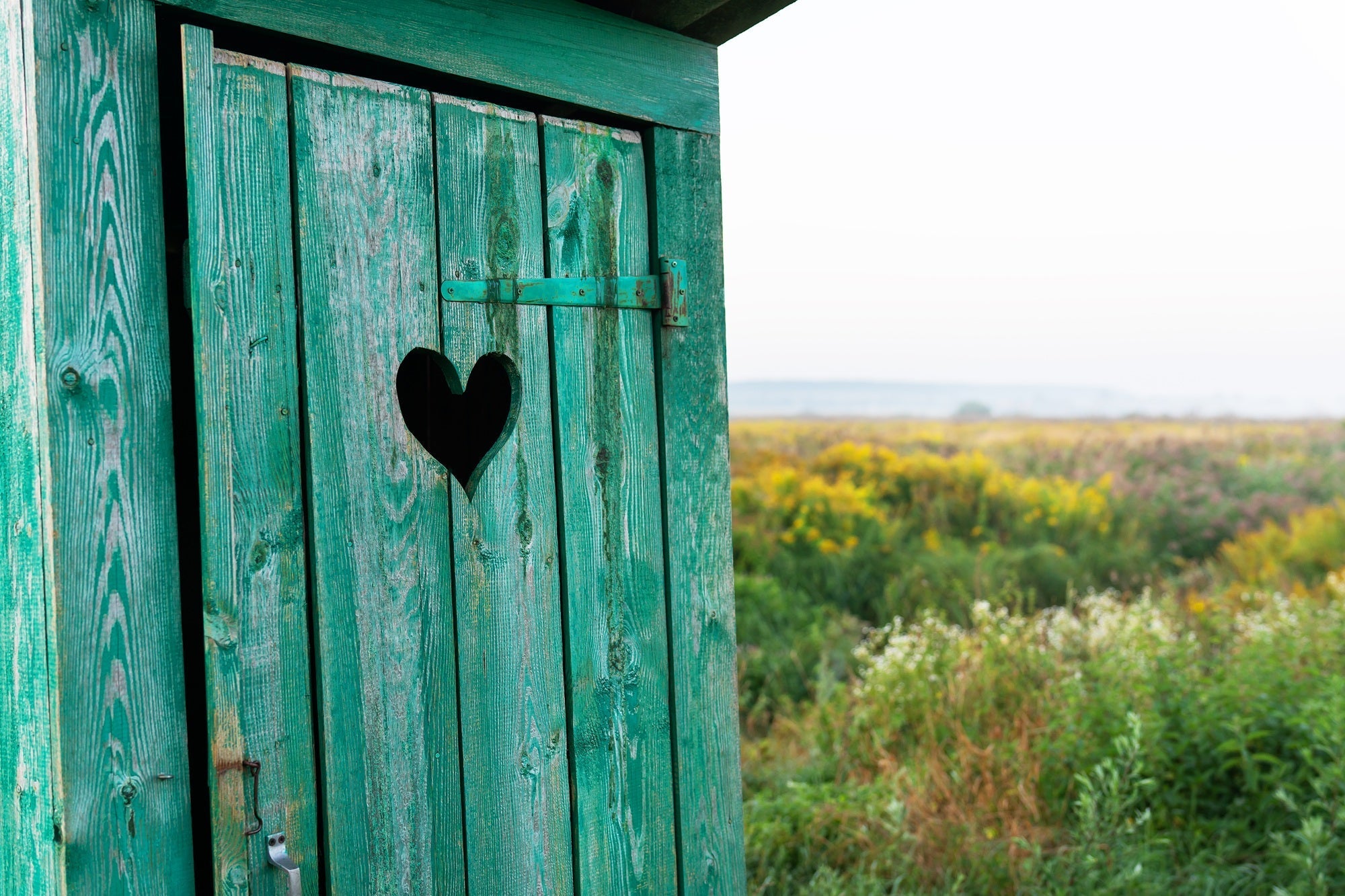 Earth Month Starts in the Bathroom: How to Choose More Sustainable Period Care